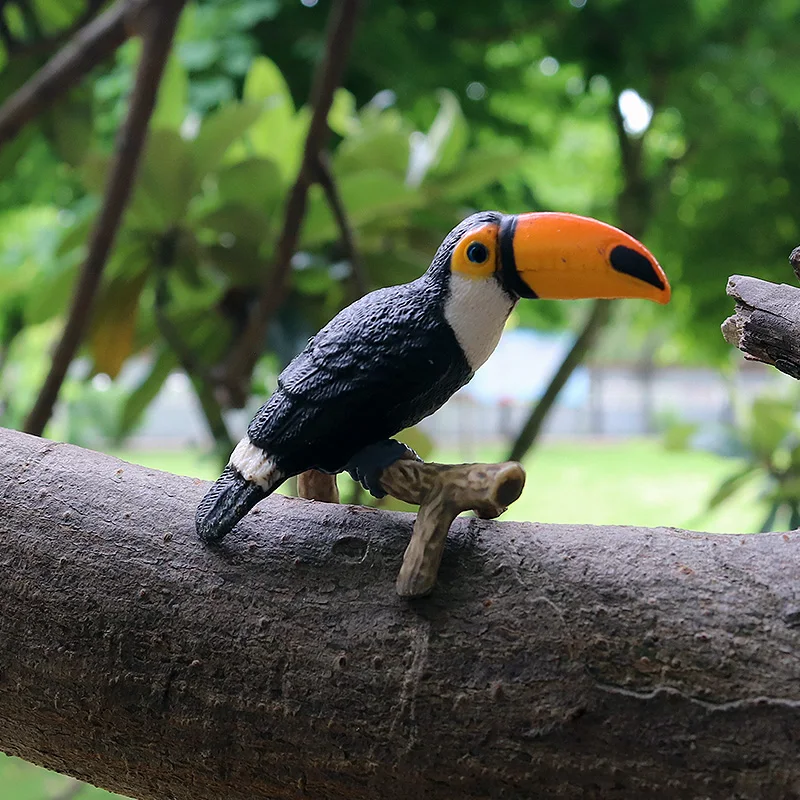 Oenux%20Original%20Wild%20Bird%20Animals%20Paradise%20Flamingos%20Macaw%20Sea%20Gull%20Pelican%20Owl%20Toucan%20Figurines%20PVC%20Action%20Figure%20Miniature%20Toy%20-%20Image%208
