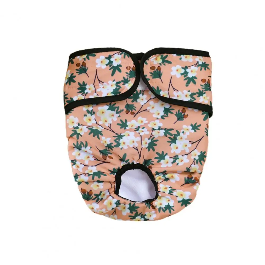 thumbnail image 1 of Disfraz para mascotas, ropa interior impermeable para mascotas, pañal, ropa interior suave y cómoda para mascotas, 1 of 5