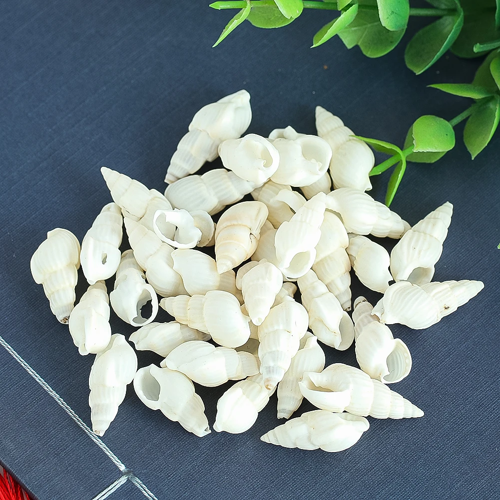 

100pcs Mini Natural Conch Shells White Spiral Seashell Crafts Fish Tank Aquarium Landscape Vase Filler Home Beach Wedding Decor
