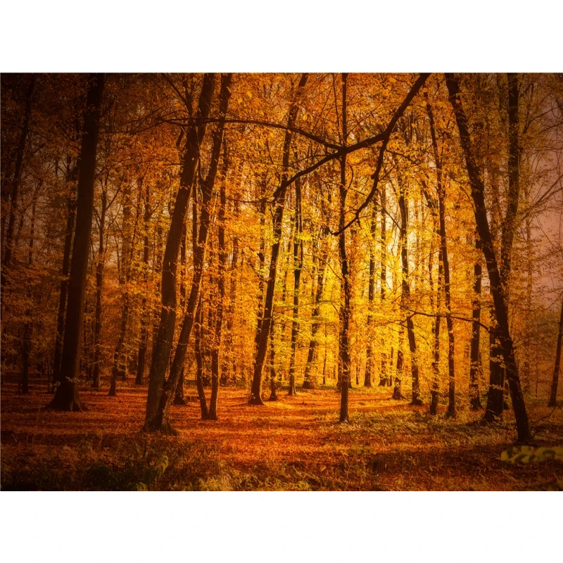 thumbnail image 1 of Póster de lienzo con decoración de otoño, hojas amarillas, vista de otoño, arte de pared, impresión, pintura de puente, imagen de Halloween, decoración del hogar para sala de estar, 1 of 5
