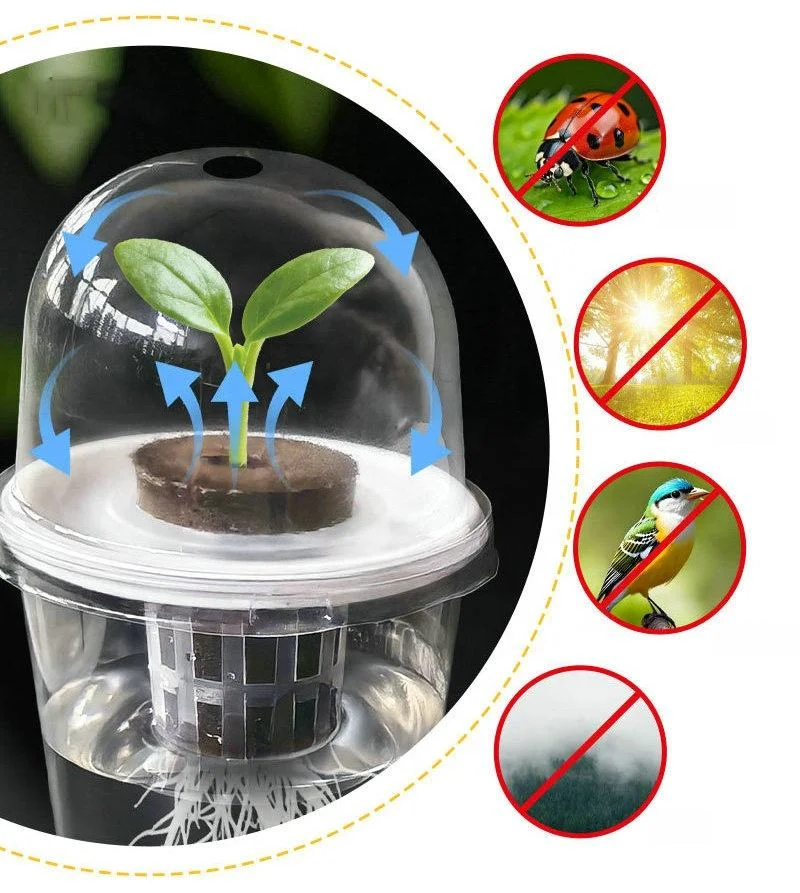Transparent Cylindrical Plastic Hydroponic Pot