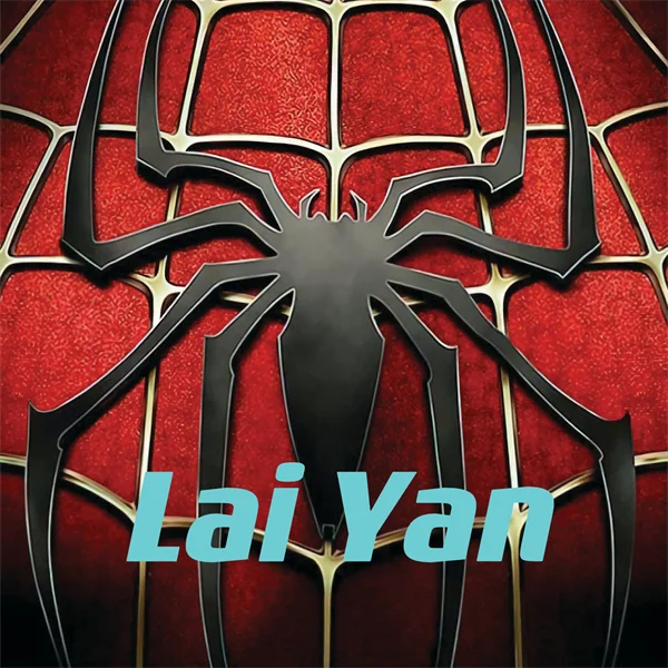 Laiyan decor Store