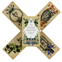 The Antique Anatomy Tarot Cards Deck Full English Oracle Divination Fate Family Party Board Game 1