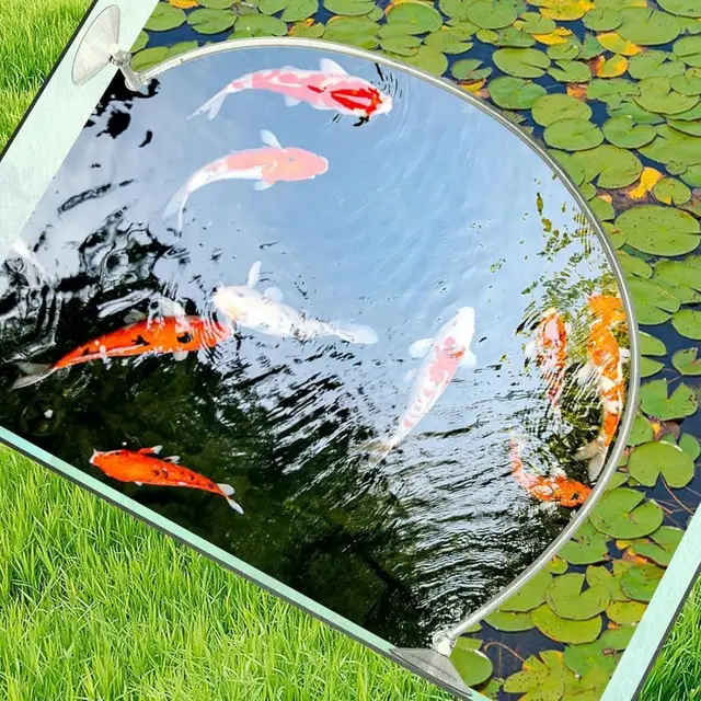 Barrières Flottantes Pour Plantes D'étang - 2 Pièces Avec Tiges Mousse Et Filets, Protection Contre Les Poissons