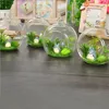 Hanging Glass Ball Garden Home Decoration Flat Bottom Flower Indoor Ornament Party Plant Pots Tealights Terrarium 6