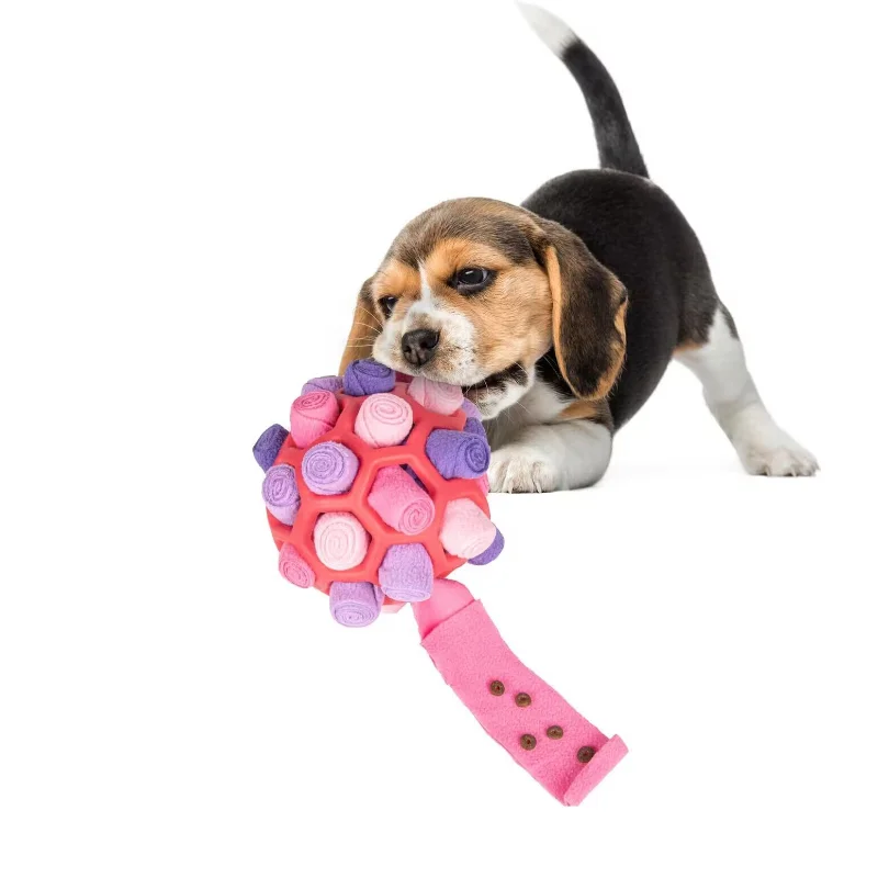 Pet Sniffing Toy Dog Hiding Food Rubber Ball Sniffing Puzzle Toy