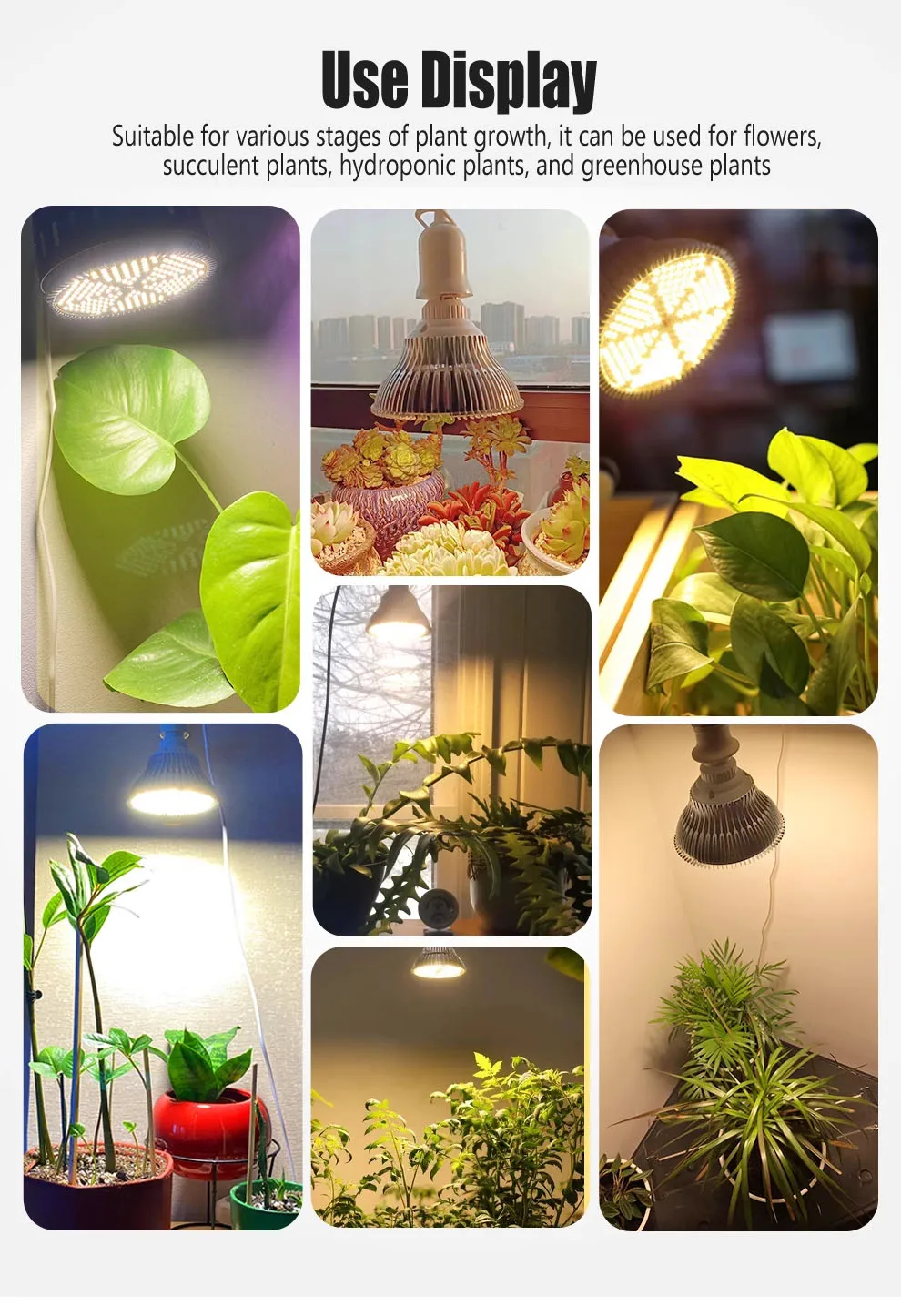 Description Picture 5 of itemLED Plant Supplementary Light E27 Greenhouse Seedling 85-265V Grow Lamp And Succulent Light Bulb Full Spectrum Imitation Of Sun