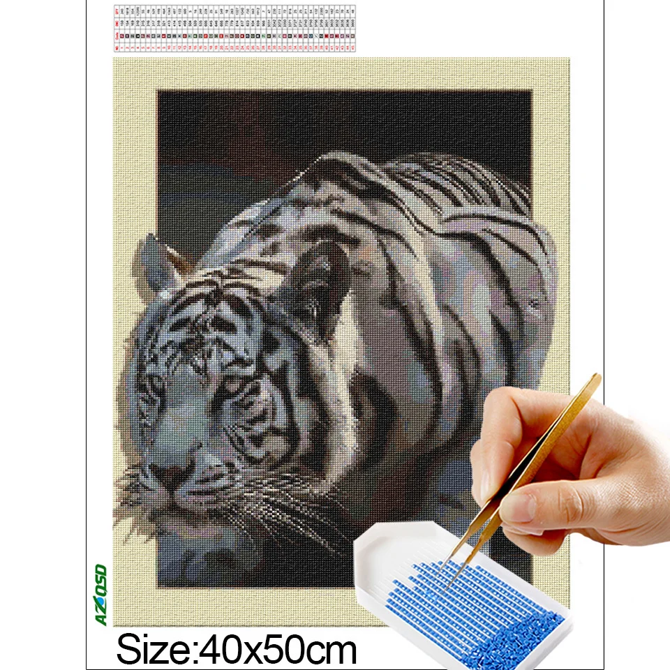 1 (6).jpg_.webp 1 (6).jpg_.webp