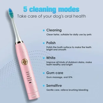Pet Electric Toothbrush 1