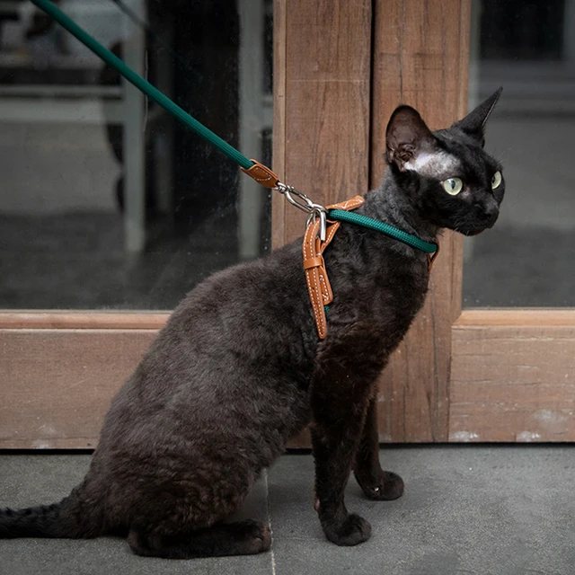 Adjustable Cat Chest Harness Set With Adjustable X-shaped Anti Slip Cat Traction Rope And Cat Walking Rope Walking Leash Set 5