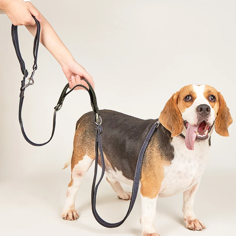 Guinzaglio Doppio Mani Libere - Ideale Per Corse E Passeggiate Con Due Cani - Foto 5