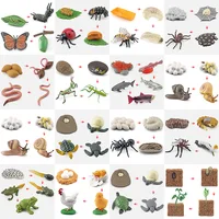 Animal Life Cycle Board Children Toy Montessori Teaching Aids Plant Animal Growth Cycle Model Set preschool cognitive Toys 2