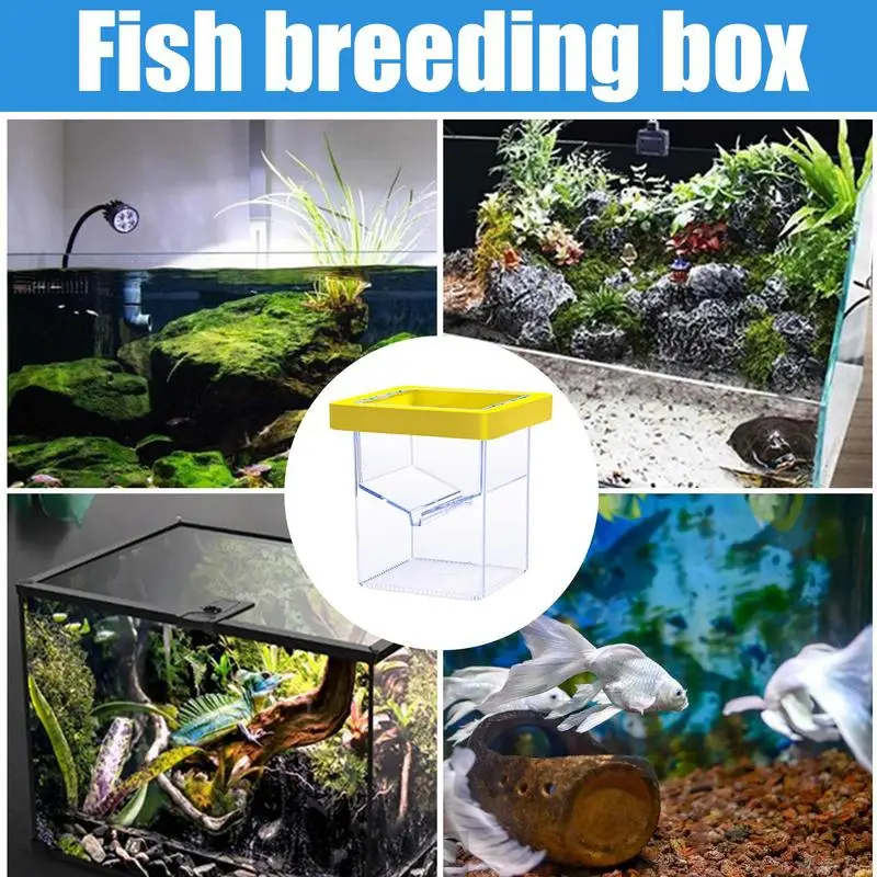Fish Tank Hatchery Breeding Box Suction Cup Hatching Container Aquarium Acclimation Hatchery Incubator For Fish Isolation Box