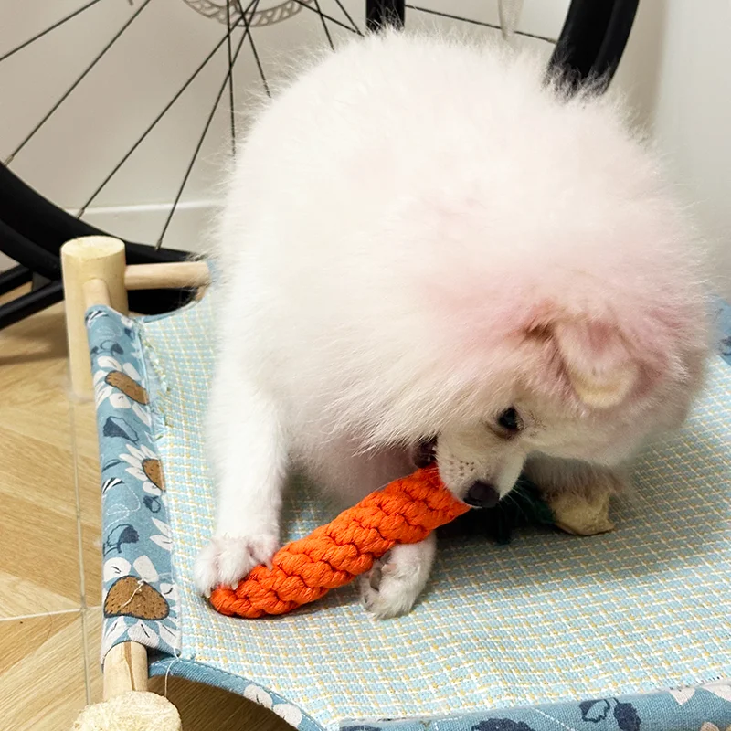Carrot Cotton Rope Dog Toy 4