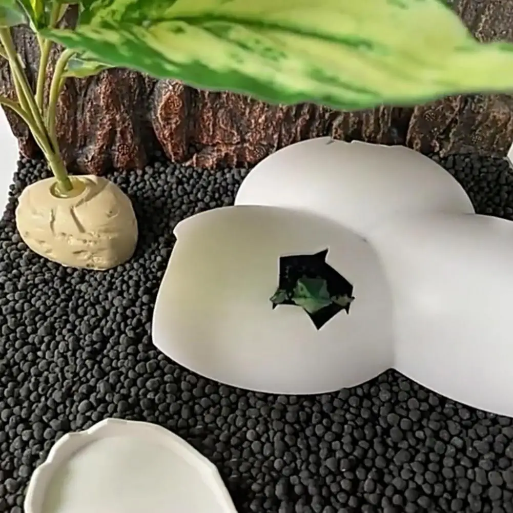 Store Home Products Feedback