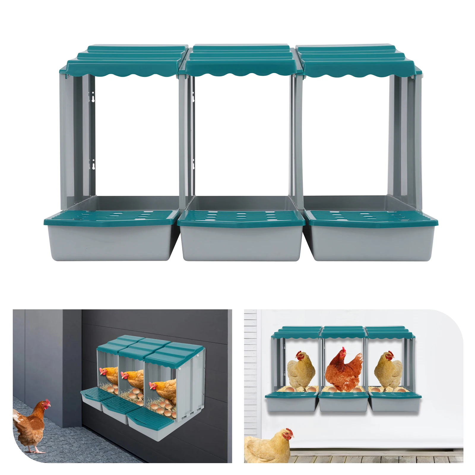 3-Compartment Chicken Nesting Box 2