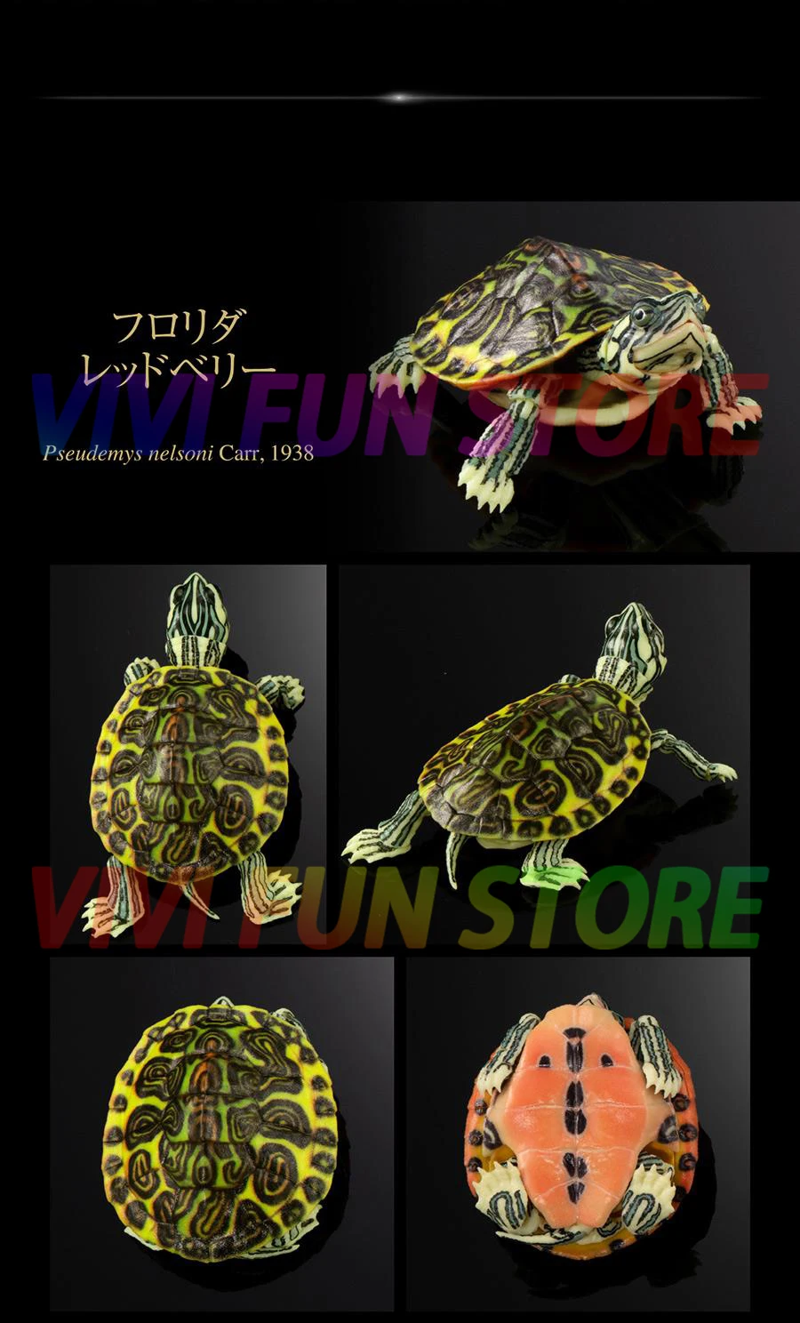재고 반다이 가샤폰 에그, 붉은귀 슬라이더의 큰 생물 지도, 붉은귀 거북이 거북이 이동식 모델 가챠 장난감 - AliExpress
