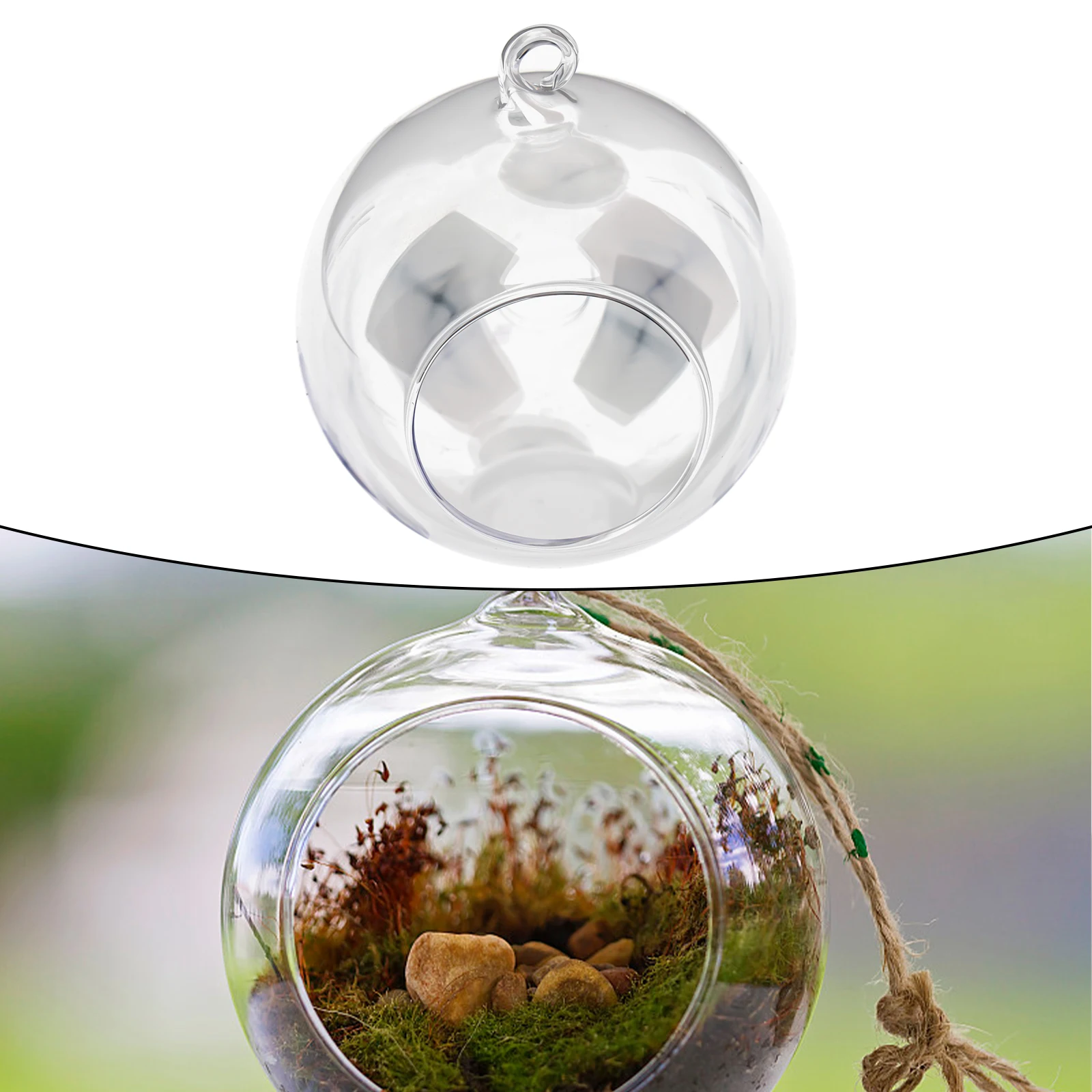 

Hanging Glass Ball Vase Succulent Plant Terrarium Container Flower Pots Clear Borosilicate Glass Garden Supplies
