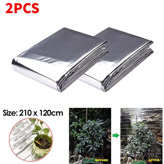 2Pcs
