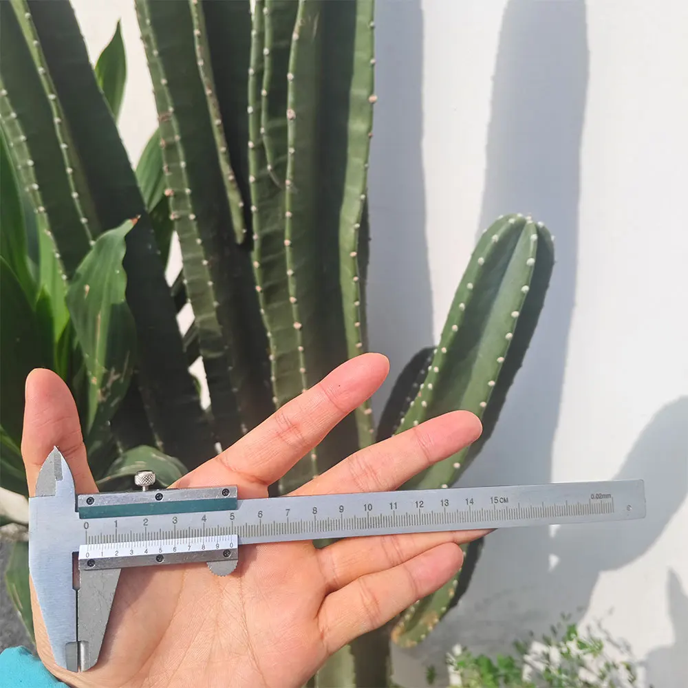 Professional Industrial Vernier Caliper 150mm Carbon Steel Precision Measurement Four Use Metric Gauge Measuring Tool