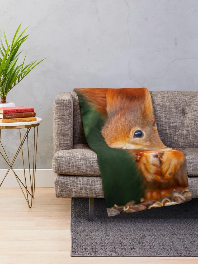 ���� �ٶ��� ������ ���, �����̴� ���, ���� ���� ���� ���� ���