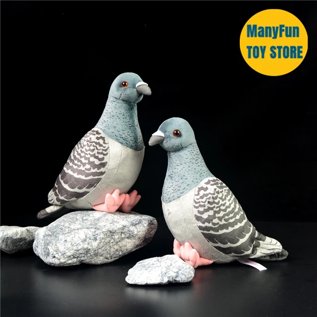 Peluche Pigeon Réaliste, Haute Fidélité, Anime, Mignon, Oiseau de la Paix,  Animaux Réalistes, Simulation, Beurre, Kawai, Cadeaux - AliExpress