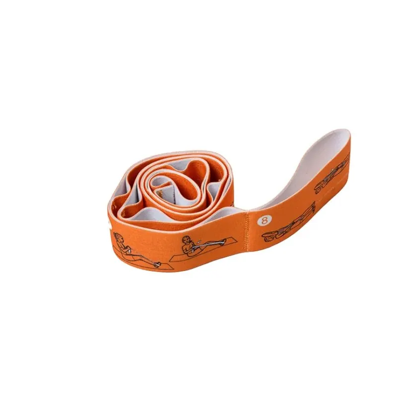 Multi Stage Yoga Stretching Band with 8 Grid Numbers, Yoga Elastic Band, Posture, Dance Stretching Band