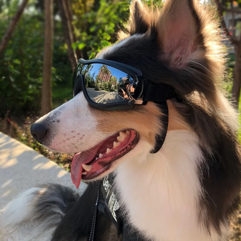 Gafas de ajustables para perros, lentes de sol Anti UV, protección para los ojos, impermeables, a prueba de viento, perros|Accesorios para - AliExpress