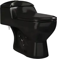 Chateau One-Piece Elongated Toilet Dual-Flush in Glossy Black 1.1/1.6 gpf Soft-Close Quick-Release Toilet Seat 1