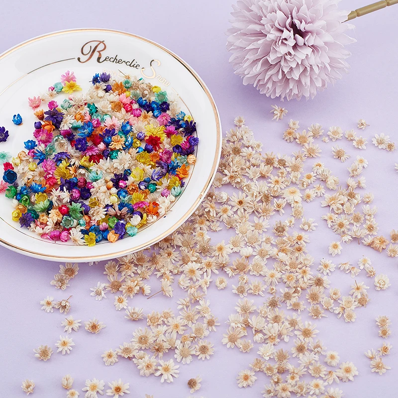 Artificial Flower 200or100 Pcs Dried For Epoxy Resin DIY Art Craft Candle Jewellery Making Glass Cover Ball Filler Accessories