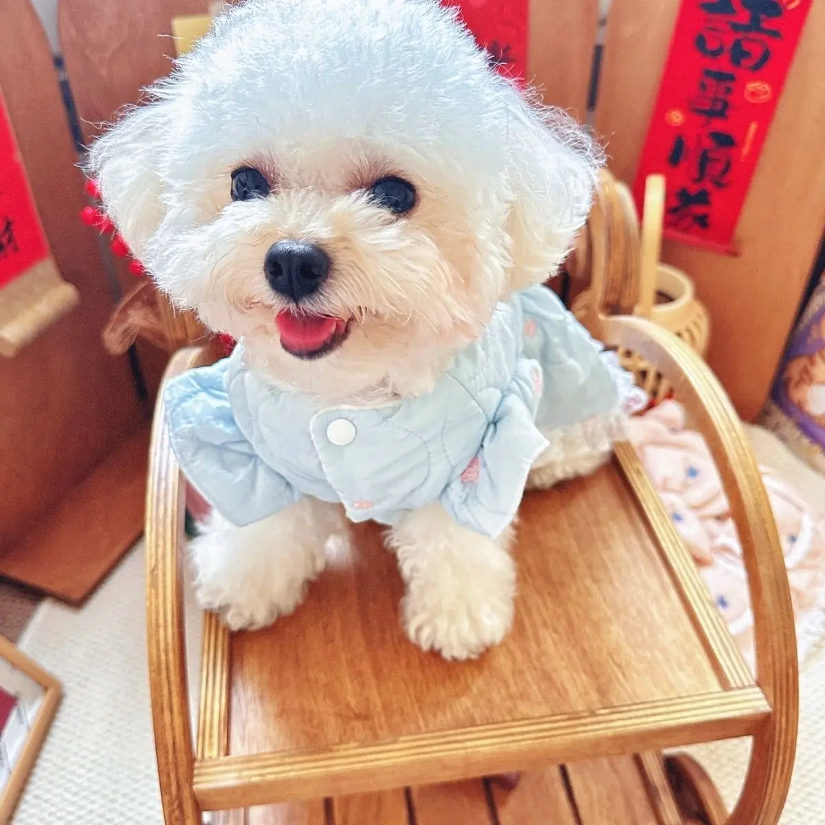 Star Embroidered Dog Dress 3