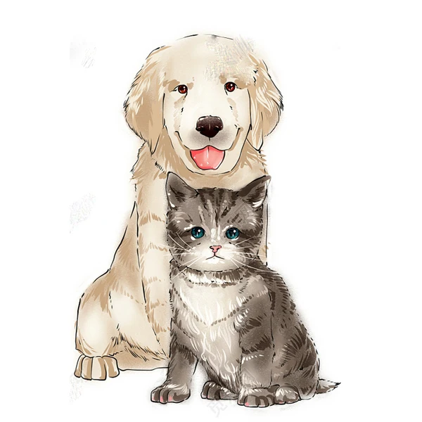 Yupinjia Technology Store