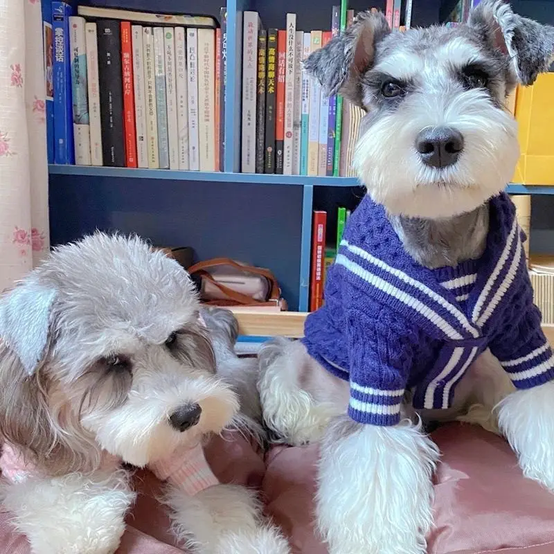 강아지 고양이 스웨터 겨울 개 작은 중형 개를위한 옷 치와와 테디 닥스 훈트 코트 프렌치 불독 Yorkie 푸들 스웨터