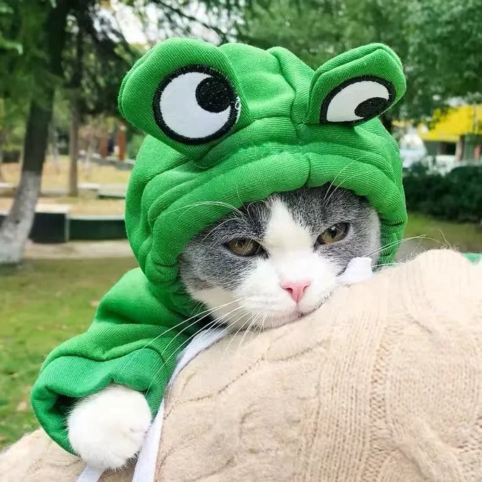 Green frog hoodie for dogs with eyes on the hood, comfortable and cute pet apparel.