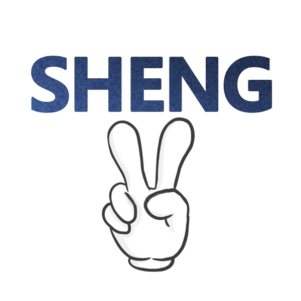 SHENGYE Store