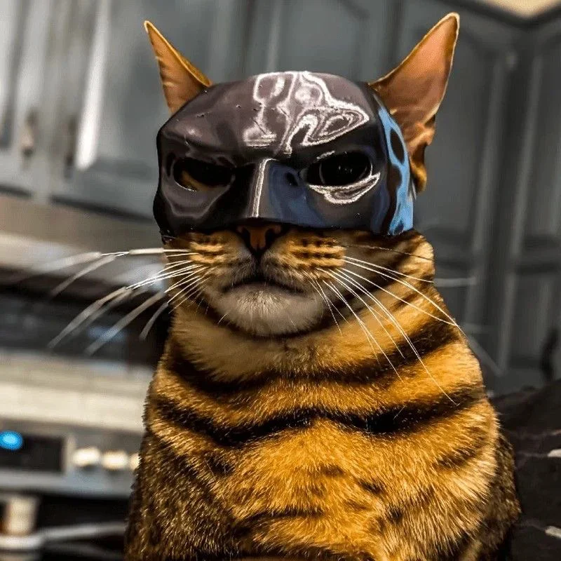 Black PLA Batman Cat Mask close-up