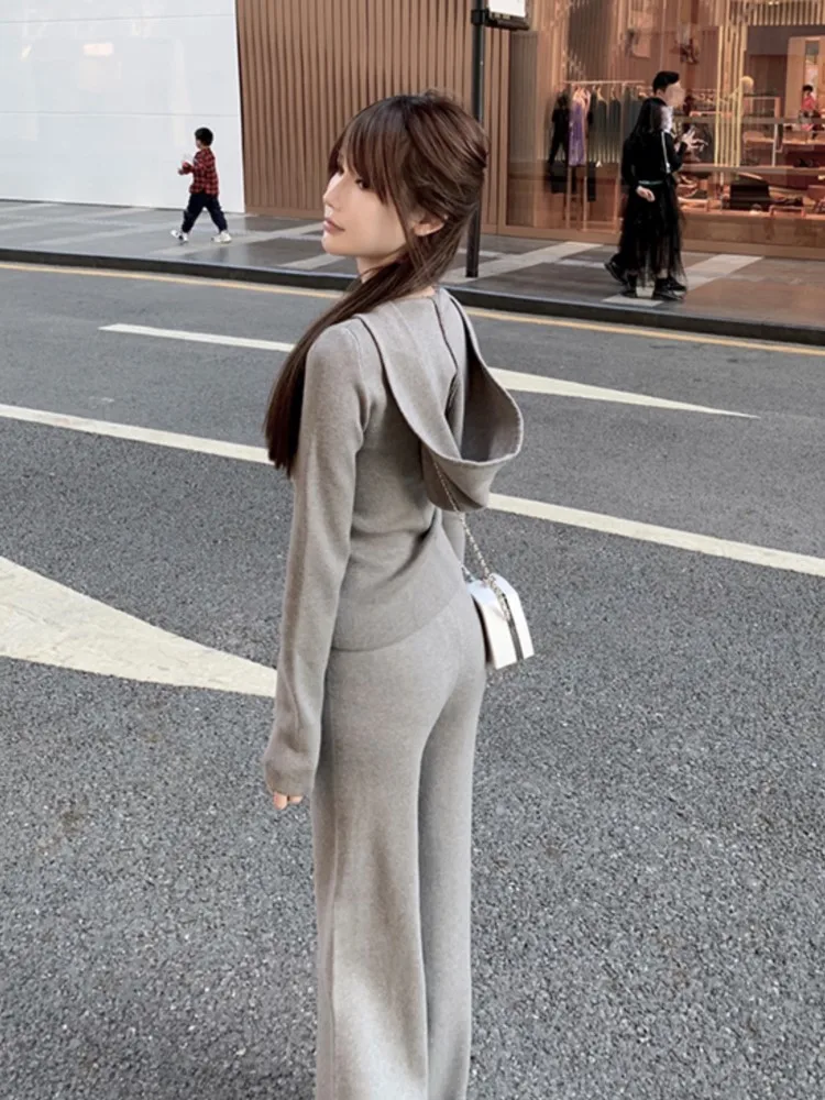 Women Fashion Slim Knitted Tracksuits 2 Piece Set Autumn Winter Casual Hooded Zip-up Short Coat Trousers Outfits Femme Clothing 4