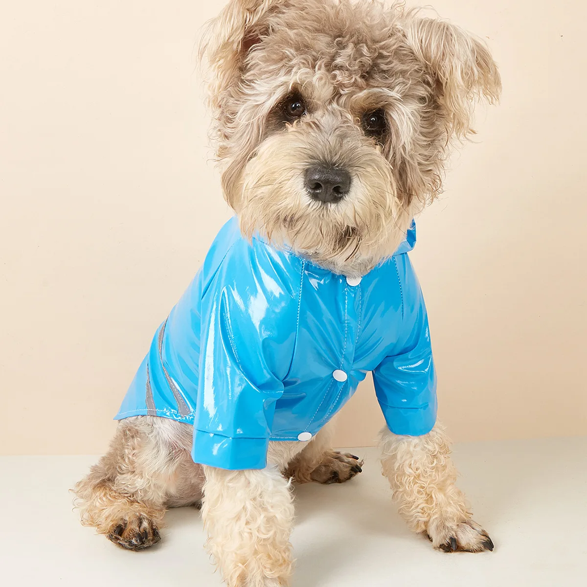 Reflective LV Raincoat With Hood For Dogs