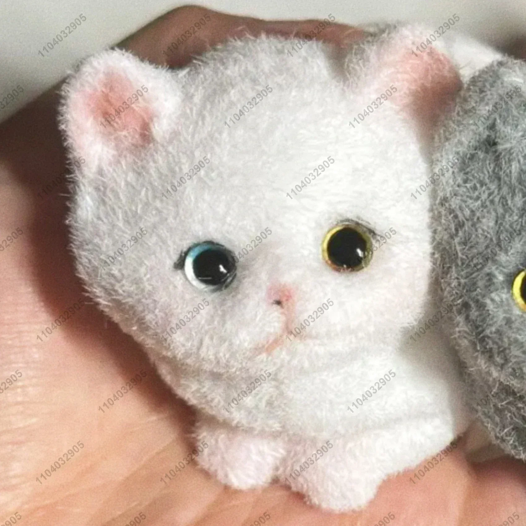 Odd-Eyed White Cat