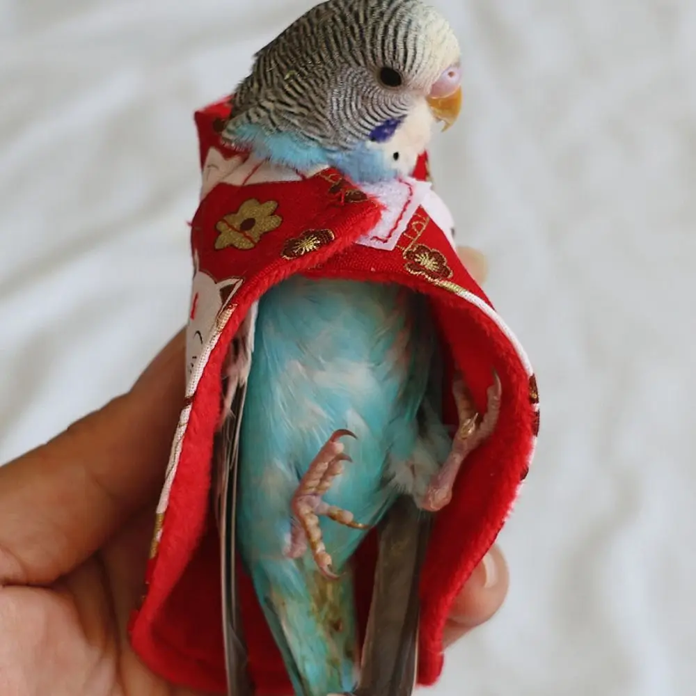 Bird Costume Parrot Dress Up Cartoon Cloak Anti-Lick Anti-Bite Warm Clothes Outdoor