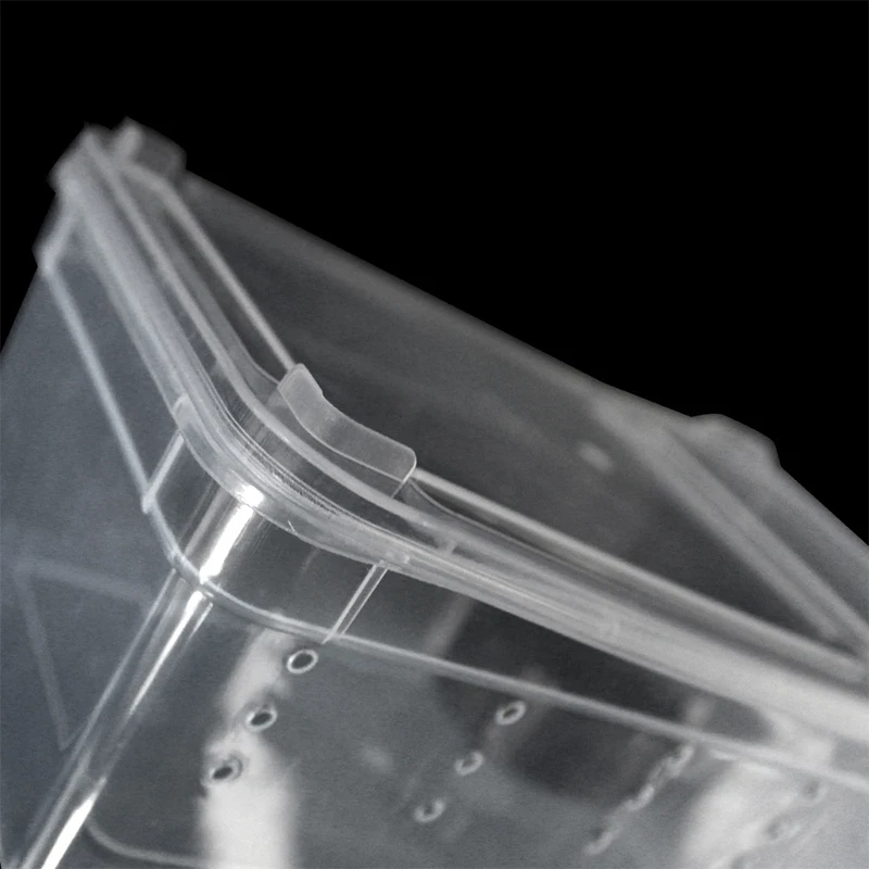 Title 8, 19cmx12.5cmx7.5cm Terrarium For Reptiles Spider...