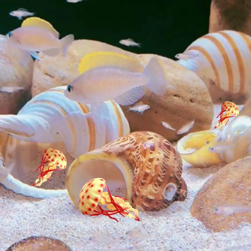 11pcs Hermit Crab Shells Medium Small Growth Turbo Seashells Sea Shell For Hermit Crabs Natural Shell Ornaments