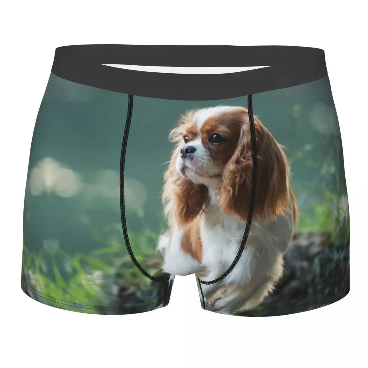 

Мужские трусы-боксеры Cavalier King Charles Spaniel, мягкое дышащее нижнее белье для собак