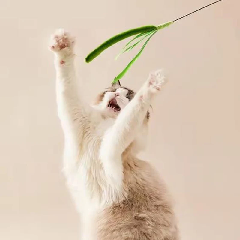 Durable Flexible Feather Pole Cat Toy