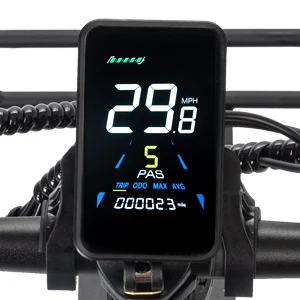 LCD Screen