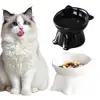 Black Cat Bowl Amazon Ceramic Cat Bowl Pet Bowl Pet Supplies Cat Bowl Dog Bowl Macaron Color New Cat and Dog Universal Pet Bowl