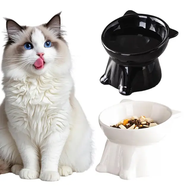Black Cat Bowl Amazon Ceramic Cat Bowl Pet Bowl Pet Supplies Cat Bowl Dog Bowl Macaron Color New Cat and Dog Universal Pet Bowl Black Cat Bowl Amazon Ceramic Cat Bowl Pet Bowl Pet Supplies Cat Bowl Dog Bowl Macaron Color New Cat and Dog Universal Pet Bowl