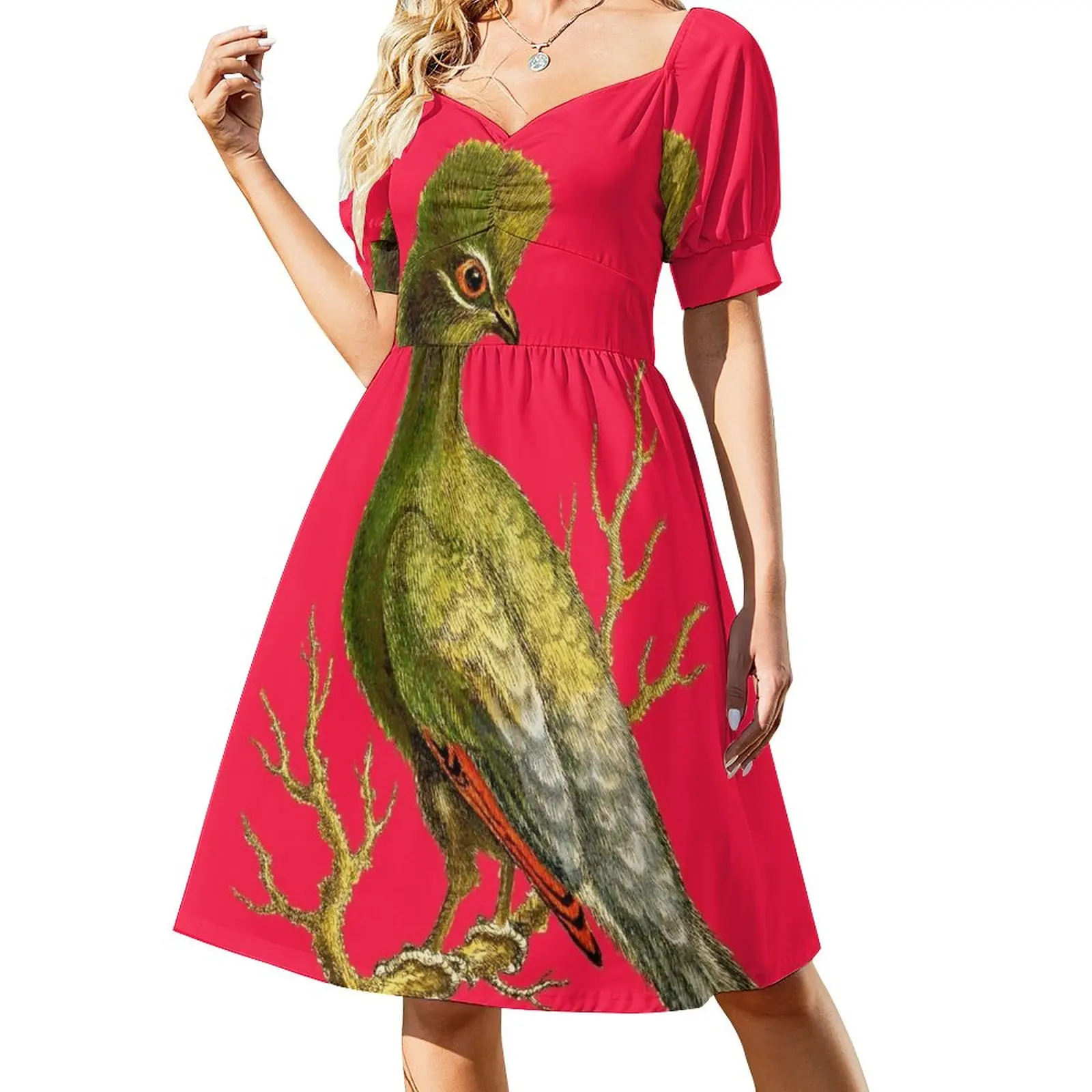 

Touraco - Bird HD винтажное изображение из энциклопедии номер 18 платье без рукавов фиолетовое платье роскошное женское вечернее платье