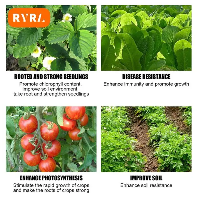 Növényi Levél Ragyogása 30 Ml Elősegíti A Növekedés Por Eltávolítását. Javítják Sárga Leveleket Virágzási Periódus Rövidítésére Gyeppermet Egészséges