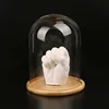Diameter=23cm Height=25cm 30cm 35cm 40cm Big Size Glass Dome Home Decoration Log Base Transparent Cover DIY Friend Favor Gift 4